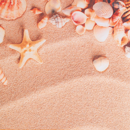 Πετσέτα Θαλάσσης Σx. Shells - Flamingo - MyHouseandKids